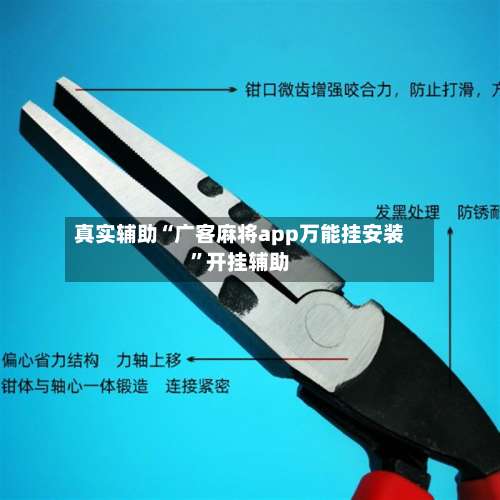 真实辅助“广客麻将app万能挂安装	”开挂辅助-第1张图片