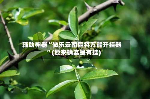 辅助神器“微乐云南麻将万能开挂器	”(原来确实是有挂)-第1张图片