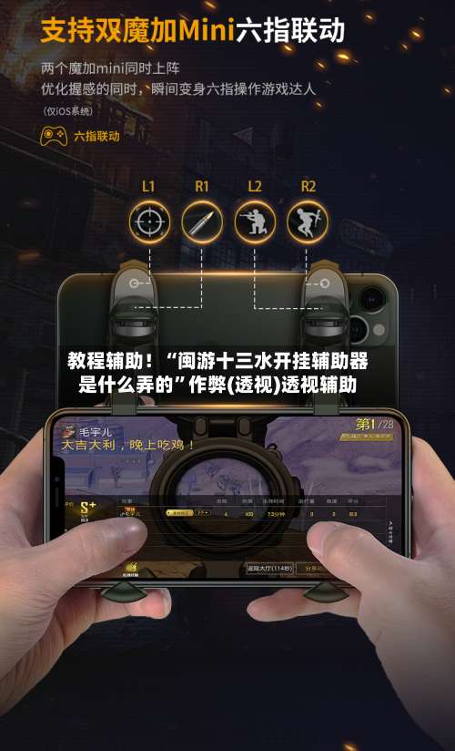 教程辅助！“闽游十三水开挂辅助器是什么弄的	”作弊(透视)透视辅助-第2张图片