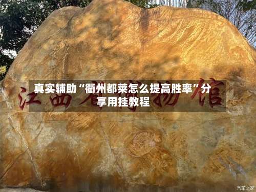 真实辅助“衢州都莱怎么提高胜率”分享用挂教程-第1张图片