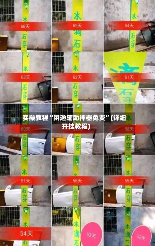 实操教程“闲逸辅助神器免费	”(详细开挂教程)-第2张图片