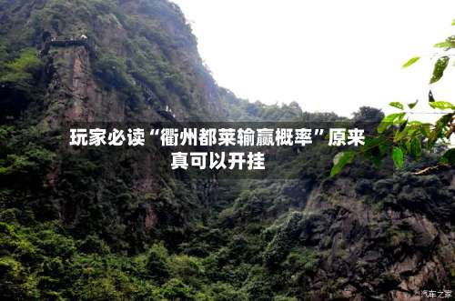 玩家必读“衢州都莱输赢概率”原来真可以开挂-第1张图片