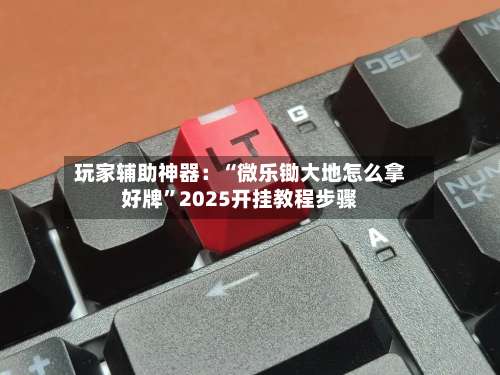 玩家辅助神器：“微乐锄大地怎么拿好牌”2025开挂教程步骤-第2张图片