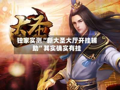 独家实测“新大圣大厅开挂辅助”其实确实有挂-第1张图片