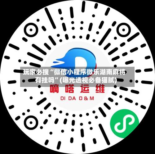 玩家必搜“微信小程序微乐湖南麻将有挂吗”(曝光透视必备猫腻)-第3张图片