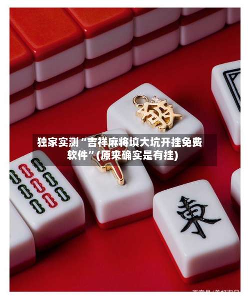 独家实测“吉祥麻将填大坑开挂免费软件”(原来确实是有挂)-第1张图片