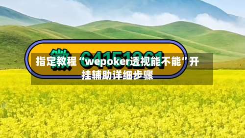指定教程“wepoker透视能不能”开挂辅助详细步骤-第1张图片