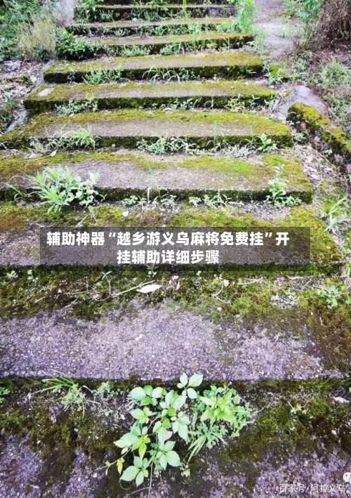 辅助神器“越乡游义乌麻将免费挂”开挂辅助详细步骤-第2张图片
