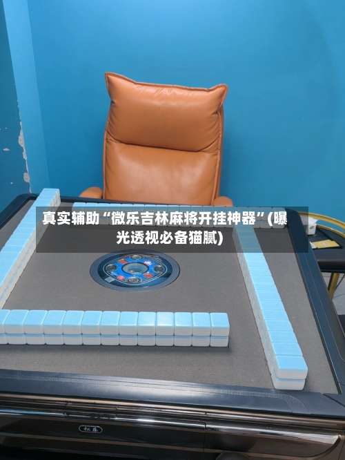 真实辅助“微乐吉林麻将开挂神器”(曝光透视必备猫腻)-第1张图片