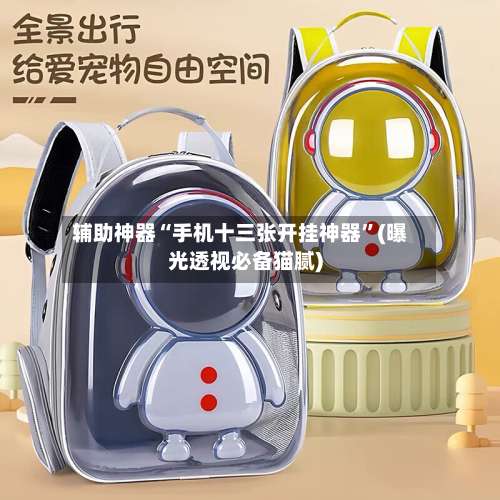 辅助神器“手机十三张开挂神器”(曝光透视必备猫腻)-第1张图片