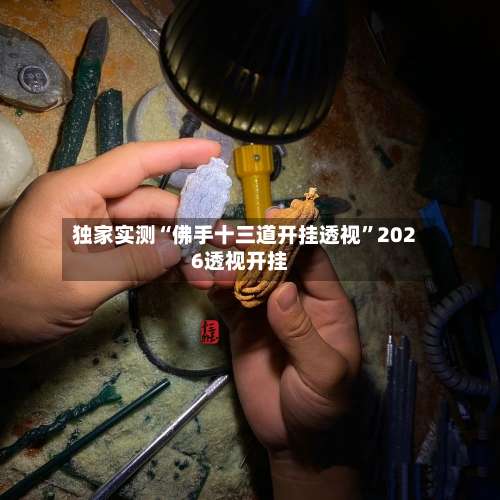 独家实测“佛手十三道开挂透视”2026透视开挂-第1张图片