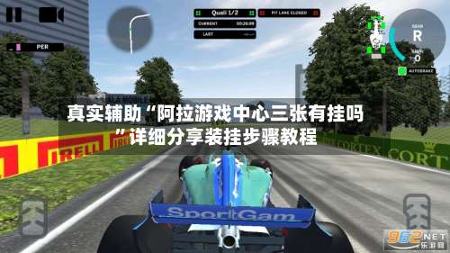 真实辅助“阿拉游戏中心三张有挂吗”详细分享装挂步骤教程-第2张图片