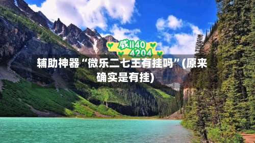 辅助神器“微乐二七王有挂吗”(原来确实是有挂)-第1张图片