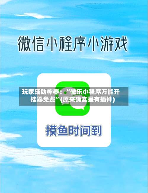 玩家辅助神器：“微乐小程序万能开挂器免费”(原来确实是有插件)-第2张图片