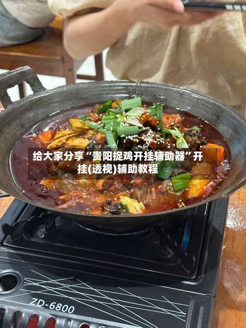 给大家分享“贵阳捉鸡开挂辅助器	”开挂(透视)辅助教程-第2张图片