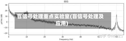 盲信号处理重点实验室(盲信号处理及应用)-第1张图片