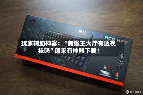 玩家辅助神器：“新猴王大厅有透视挂吗	”原来有神器下载！-第2张图片