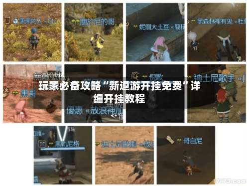 玩家必备攻略“新道游开挂免费”详细开挂教程-第2张图片