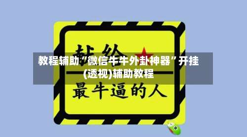 教程辅助“微信牛牛外卦神器	”开挂(透视)辅助教程-第2张图片