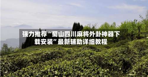 强力推荐“蜀山四川麻将外卦神器下载安装	”最新辅助详细教程-第2张图片