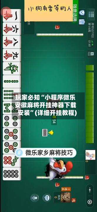 玩家必知“小程序微乐安徽麻将开挂神器下载安装	”(详细开挂教程)-第3张图片