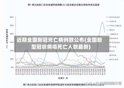 近期全国新冠死亡病例数公布(全国新型冠状病毒死亡人数最新)-第2张图片
