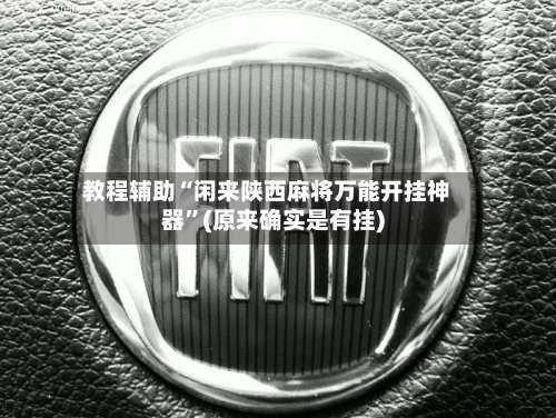 教程辅助“闲来陕西麻将万能开挂神器	”(原来确实是有挂)-第1张图片