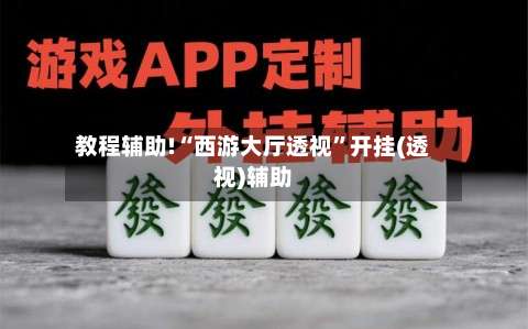 教程辅助!“西游大厅透视”开挂(透视)辅助-第3张图片