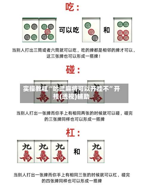 实操教程“哈灵麻将可以开挂不”开挂(透视)辅助-第1张图片