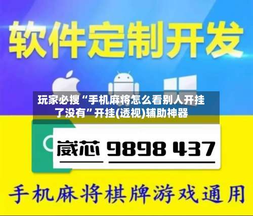 玩家必搜“手机麻将怎么看别人开挂了没有”开挂(透视)辅助神器-第2张图片