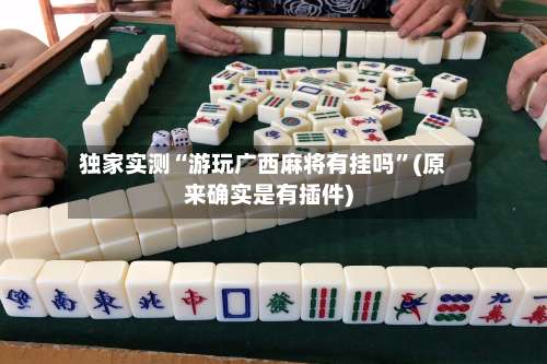 独家实测“游玩广西麻将有挂吗”(原来确实是有插件)-第1张图片