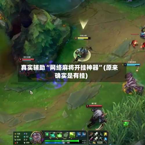 真实辅助“网络麻将开挂神器”(原来确实是有挂)-第2张图片