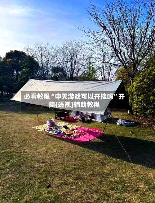 必看教程“中天游戏可以开挂吗	”开挂(透视)辅助教程-第2张图片