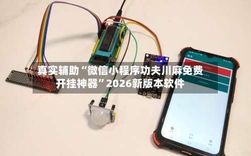 真实辅助“微信小程序功夫川麻免费开挂神器”2026新版本软件-第1张图片