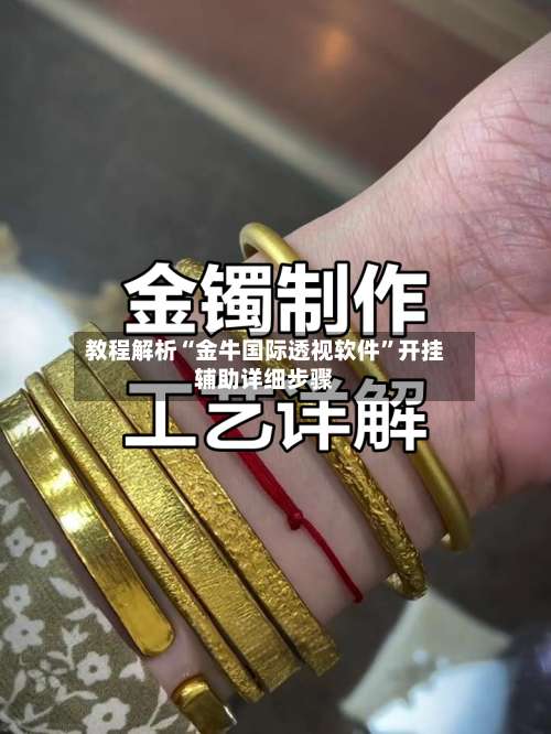 教程解析“金牛国际透视软件	”开挂辅助详细步骤-第2张图片