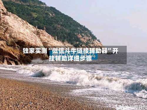 独家实测“微信斗牛链接辅助器”开挂辅助详细步骤-第2张图片