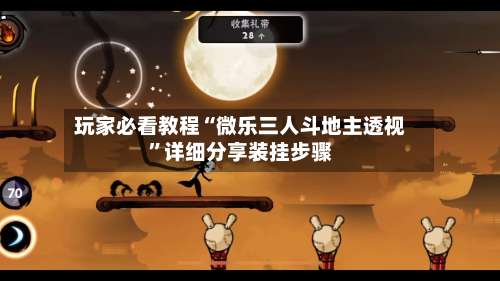 玩家必看教程“微乐三人斗地主透视	”详细分享装挂步骤-第2张图片