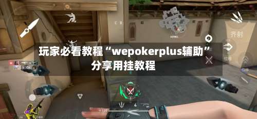 玩家必看教程“wepokerplus辅助”分享用挂教程-第3张图片