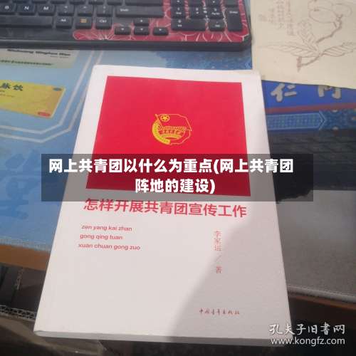 网上共青团以什么为重点(网上共青团阵地的建设)-第3张图片