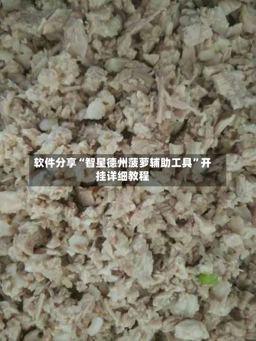 软件分享“智星德州菠萝辅助工具”开挂详细教程-第3张图片