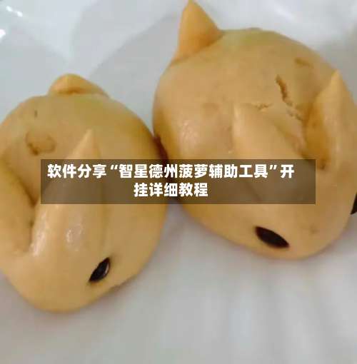 软件分享“智星德州菠萝辅助工具”开挂详细教程-第1张图片