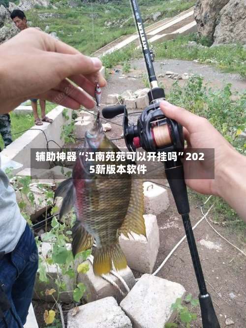 辅助神器“江南苑苑可以开挂吗”2025新版本软件-第2张图片