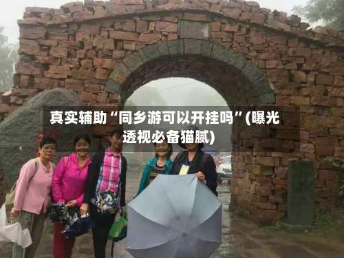 真实辅助“同乡游可以开挂吗”(曝光透视必备猫腻)-第1张图片