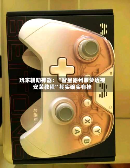 玩家辅助神器：“智星德州菠萝透视安装教程”其实确实有挂-第2张图片