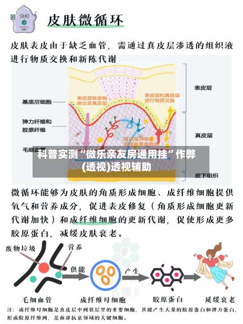 科普实测“微乐亲友房通用挂	”作弊(透视)透视辅助-第2张图片