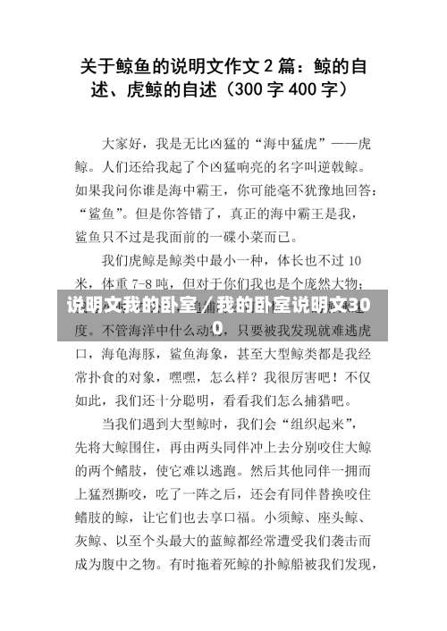 说明文我的卧室／我的卧室说明文300-第2张图片