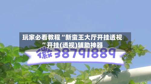 玩家必看教程“新蛮王大厅开挂透视”开挂(透视)辅助神器-第1张图片