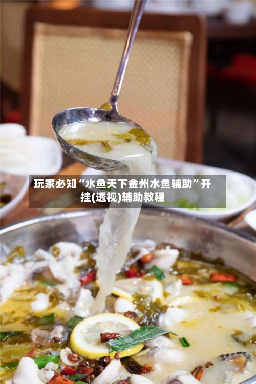 玩家必知“水鱼天下金州水鱼辅助”开挂(透视)辅助教程-第1张图片