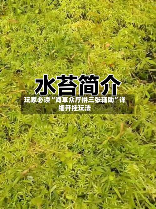 玩家必读“海草众厅拼三张辅助”详细开挂玩法-第1张图片
