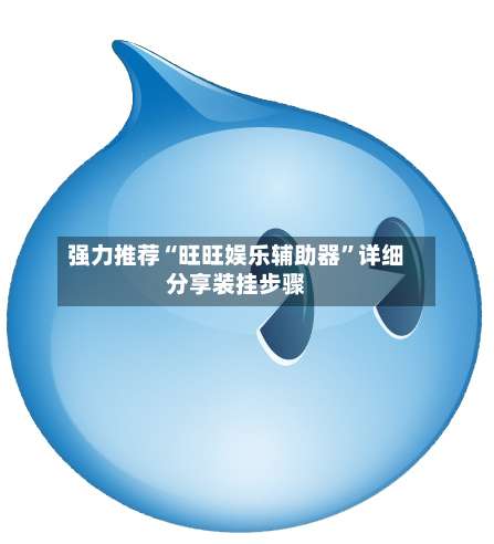 强力推荐“旺旺娱乐辅助器”详细分享装挂步骤-第1张图片